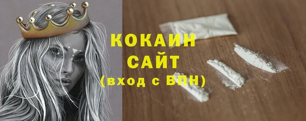 шишки Губаха