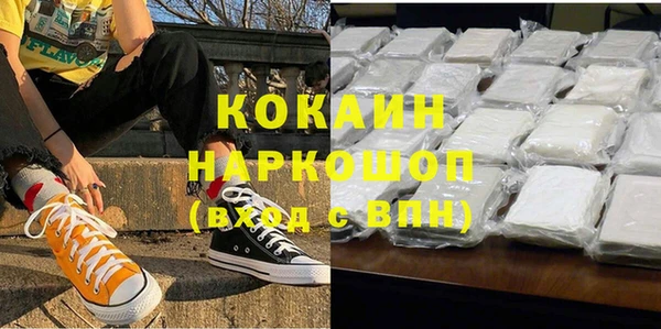 гашик Верея