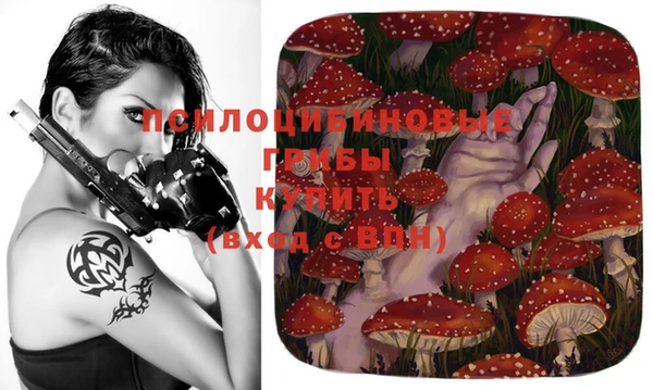 ешки Галич