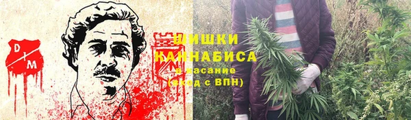 амф Бронницы
