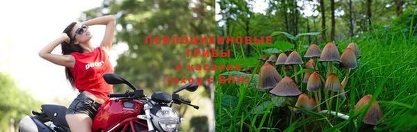 кокаин премиум Верхний Тагил