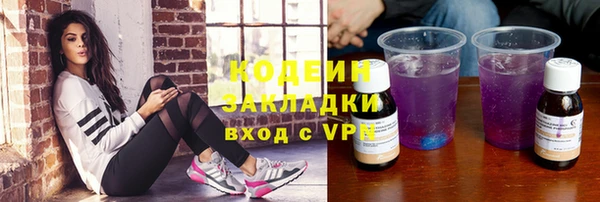 гашик Верея