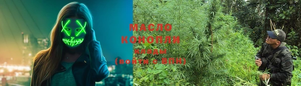 гашик Верея